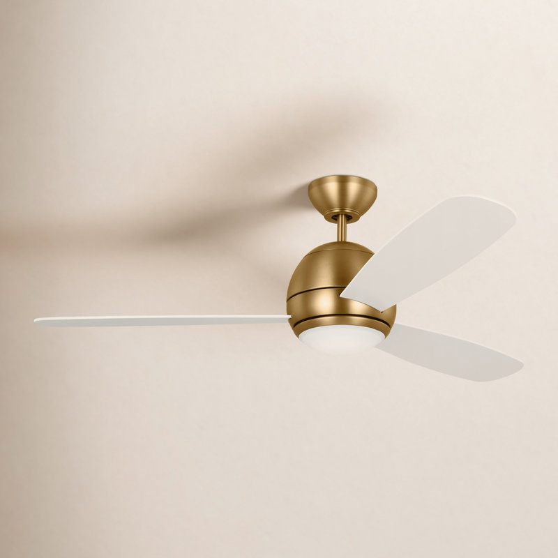 Erina 52'' Ceiling Fan with LED Lights, Satin Brass, Matte White