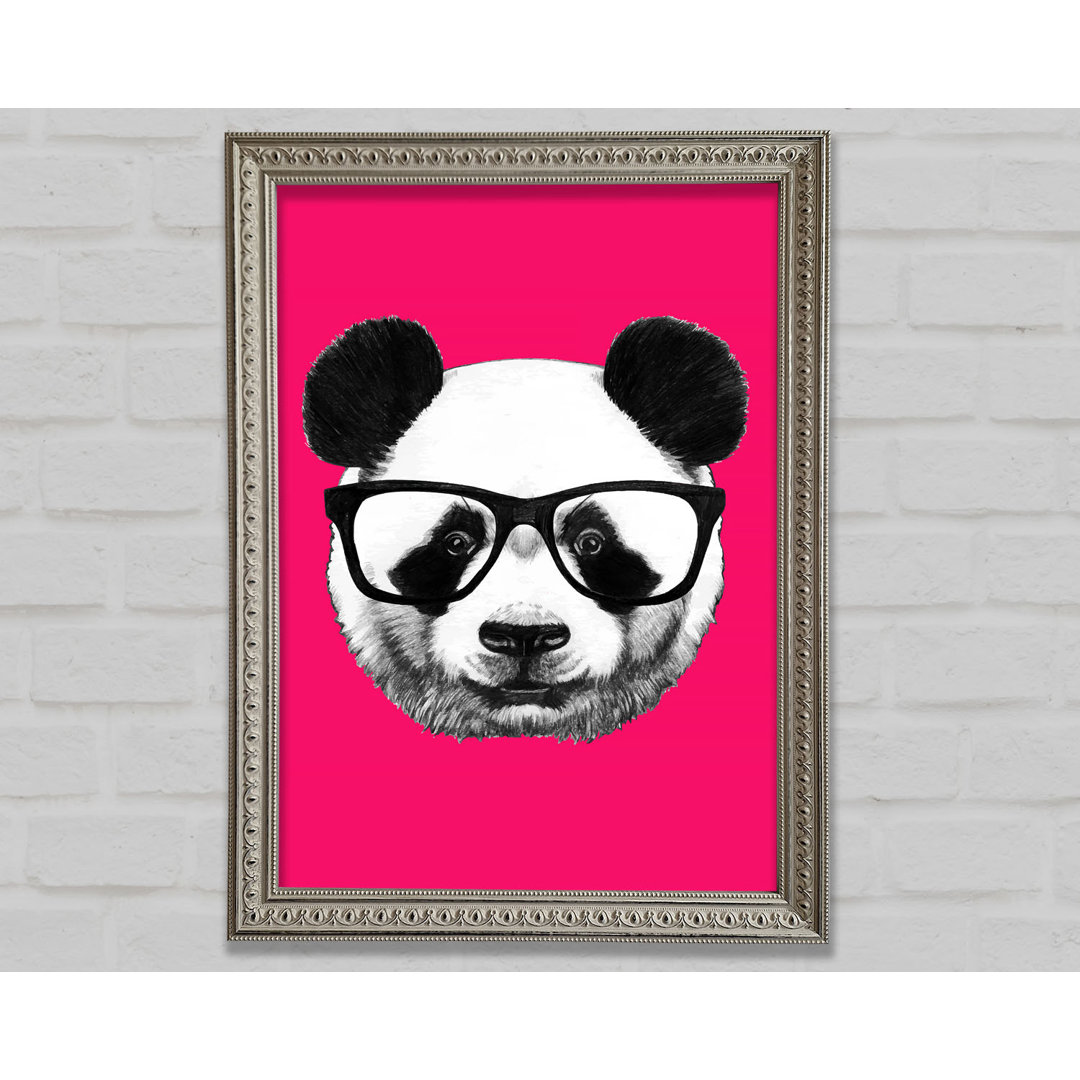 Funky Panda - Druck