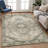 Machine Washable Indoor/Outdoor Chantille ACN2875 Global Rug-1237932471-1237932461