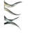 Joenell Natural Kudu Horn S