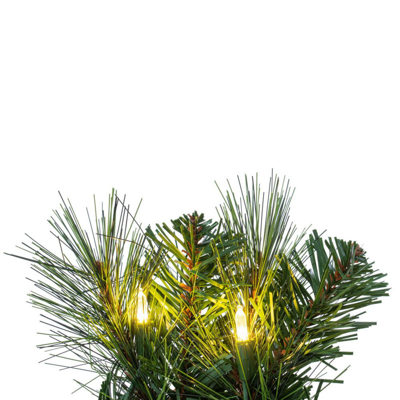 24" Brighton Pine Artificial Wreath with 50 Warm White LED Mini Lights