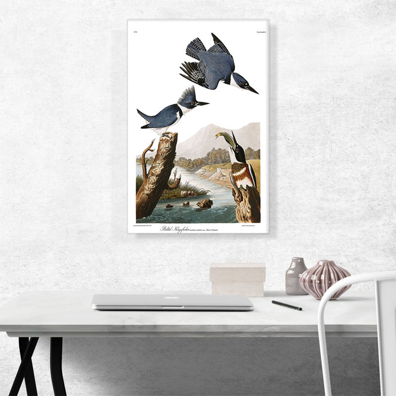 «Martin-pêcheur ceinturé» par James Audubon - impression sur toile tendue, H 26 po x l 18 po x 1,5 po