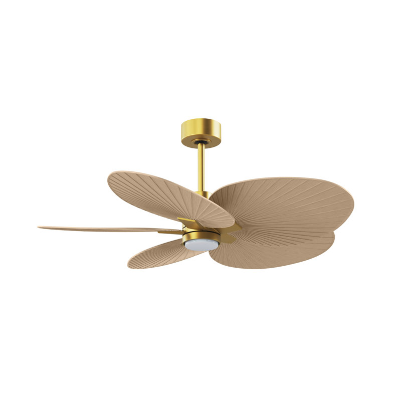 Alessandra Tropical - Five Blade Ceiling Fan - Integrated LED -Matte Black Finish -Light Blue Blades, Brushed Brass