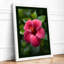 Hibiscus in Bloom Botanical - Framed Print-1358740171-1358740180