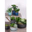 Emaliya Pot Planter-44648779-44648780