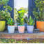 Nicola Spring - Hand-Printed Plant Pot with Saucer - 20.5cm - Orange-112601285