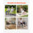 Outdoor Bench
