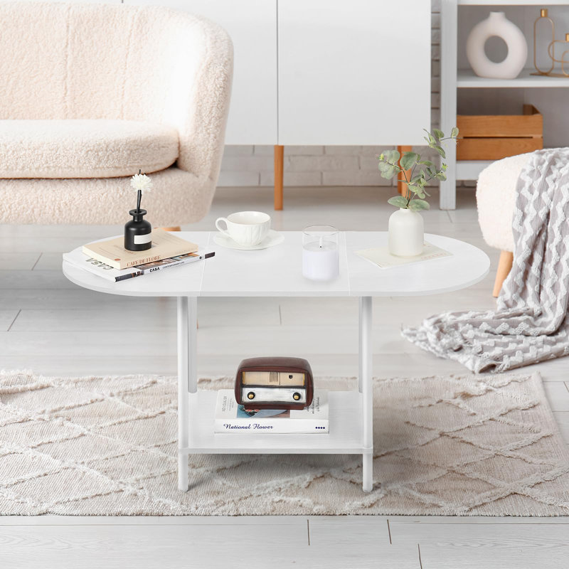 White Oval Wood Coffee Table with Storage Shelf