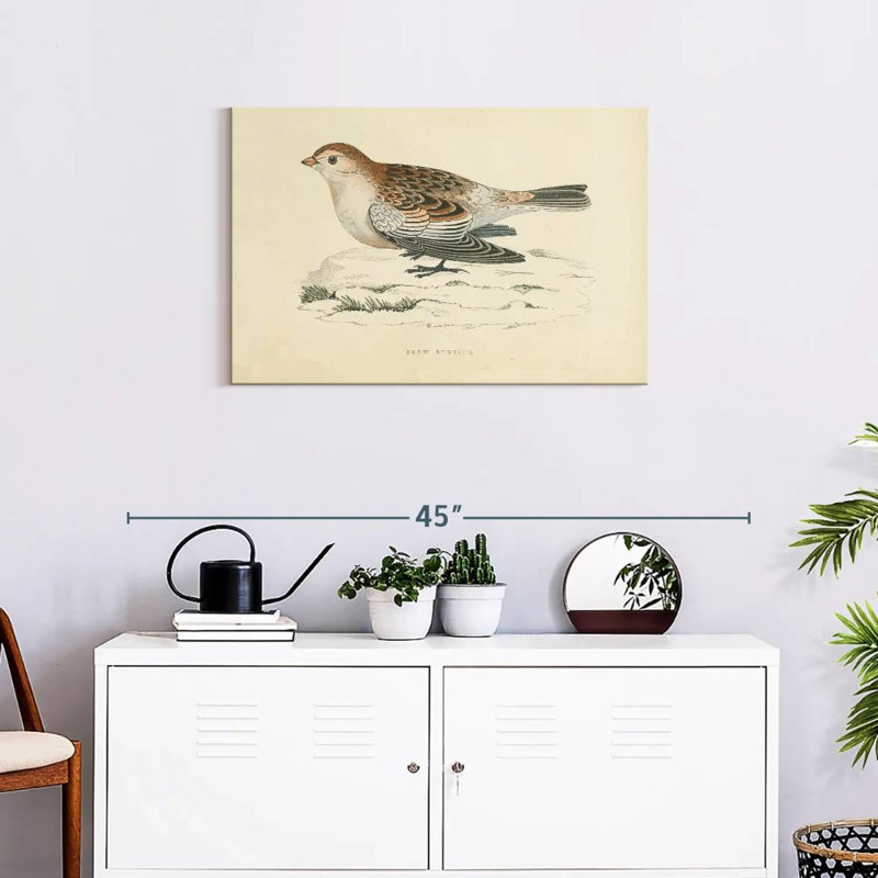 Snow Bunting Print, 20" H x 30" W