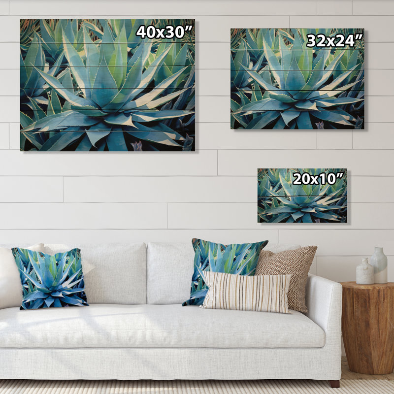 «Moolchul Green Succulents Majestic Agave I» sur impression sur bois, H 10 po x l 20 po x P 0,78 po