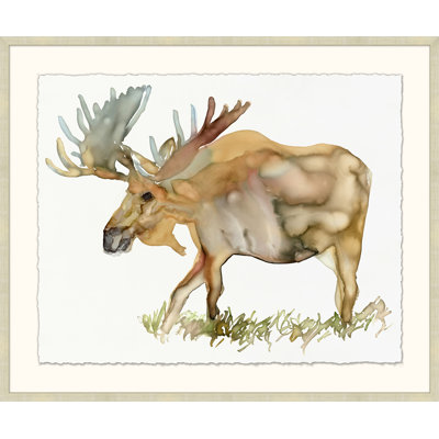 Moose Sighting 1 Print