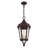 Anguel 2 - Light Outdoor Hanging Lantern-337897702