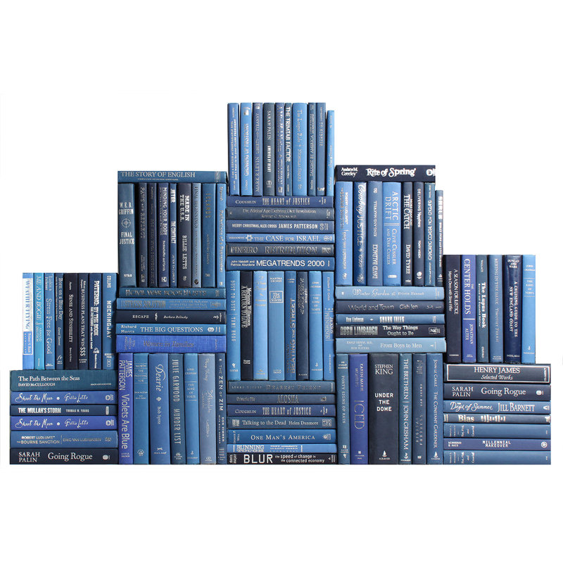Modern Denim & Gold Book Wall, 100, 10" H x 113" W x 8" D, Serene Sky Blue