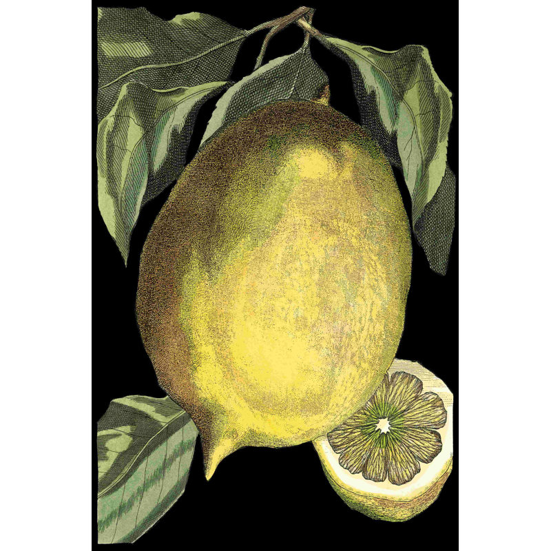 " Fragrant Citrus I "