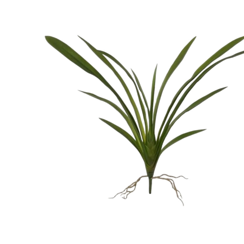 Grappe de cymbidium 26 po - paquet de 3