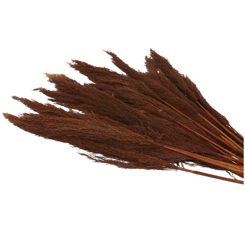 Dried Plant Grass Pampas Decor Natural Foliage with Long Stems, Copper