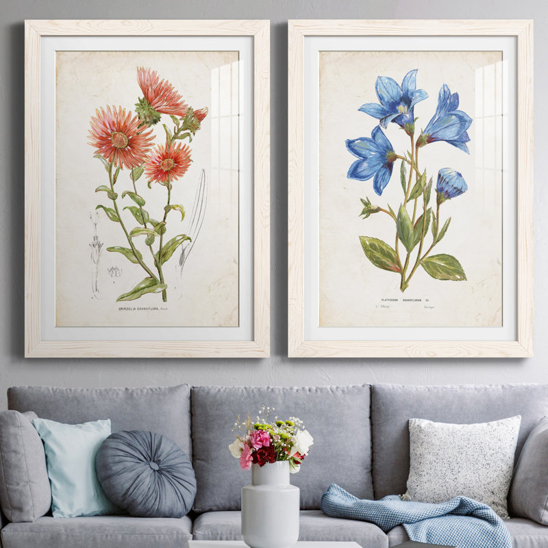 «Botanical I», ensemble de 2 reproductions d'art, H 31,5 po x l 47 po x P 1,5 po, Papier encadré blanc, Blanc