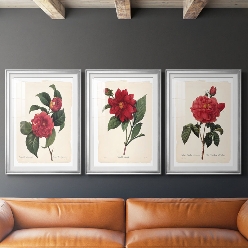Red Botanical I - reproduction encadrée sur mesure de qualité supérieure mate - 3 pièces, H 15 po x l 19 po, Argent argent
