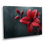 Red Black Poinsettia Raindrop Reflections II - Plants Wall Decor