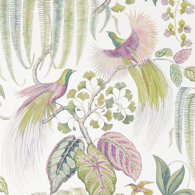 Bird of Paradise Wallpaper, Orchid