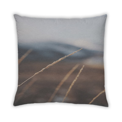 Coussin Plants Grass