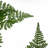 150cm Faux Moss Tree in Metal Planter-1516446486