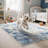 Fillender Modern Area Rugs Non-Slip Washable Abstract Soft For Living Room-111176630