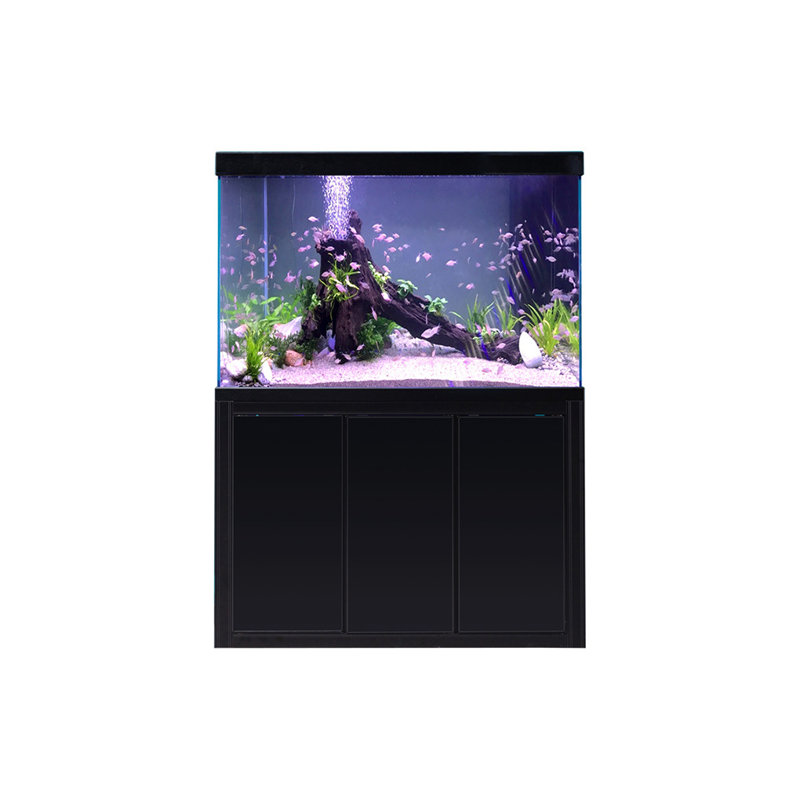 Réservoir d'aquarium rectangulaire simple et moderne Eco