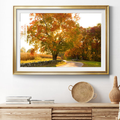 Maple Tree Drive - Photographie avec cadre photo