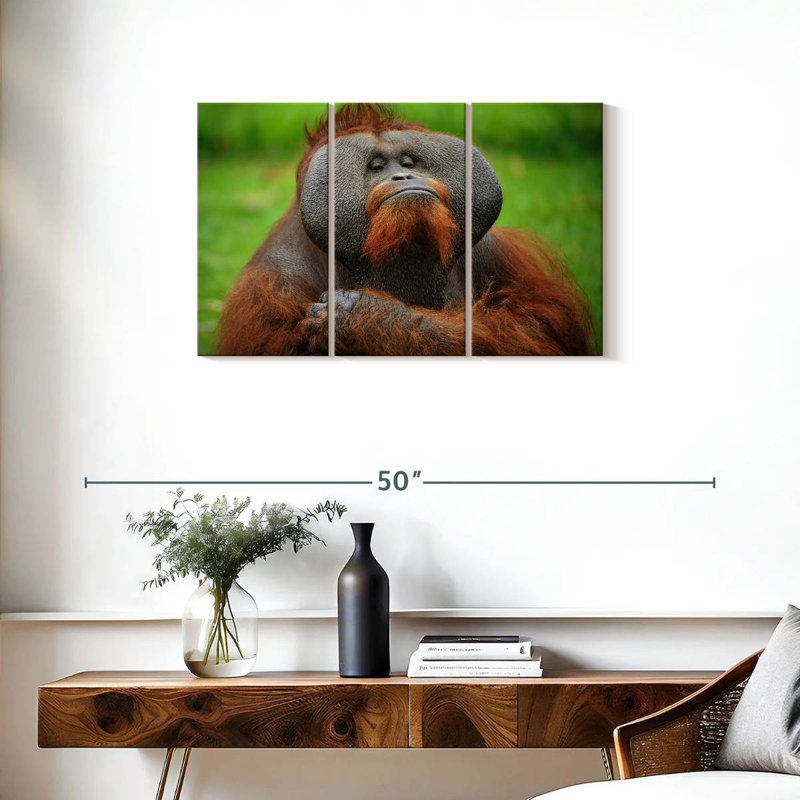 Orang-outan autoritaire, H 20 po x l 33 po