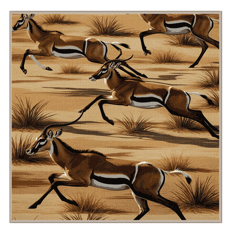  Tapis lavable Thomsons Gazelle, Rond 7 pi