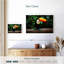 Toucan brésilien Brampt-107866930