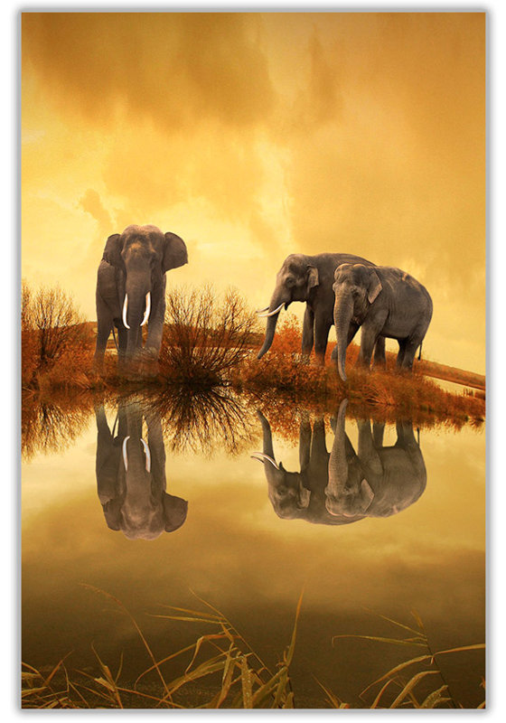 Wrapped Canvas Print, 76cm H x 50cm W x 1.8cm D