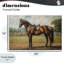«Saddled & Ready For The Show», estampe numérique, design par Petal Prints Design-1066379416-1066379422