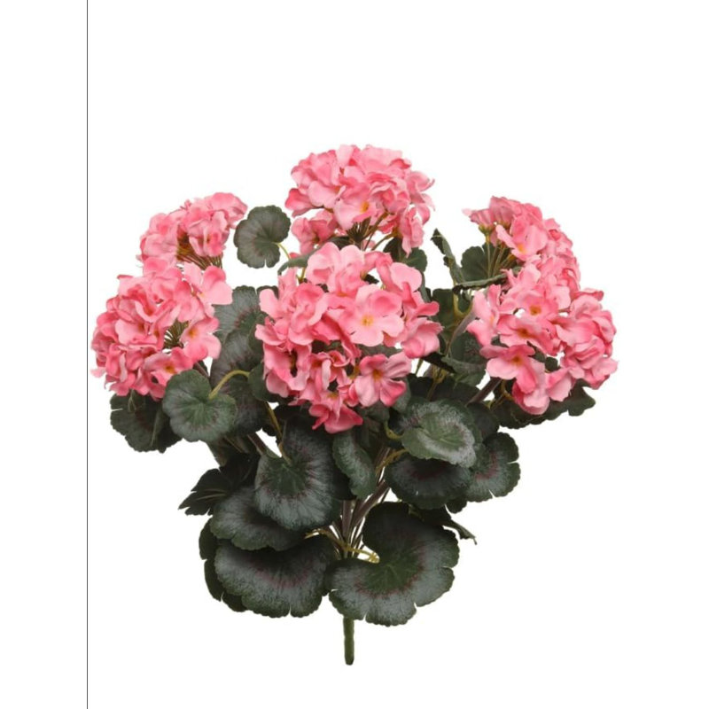 Pink 18"nat Geranium Bush 20lv