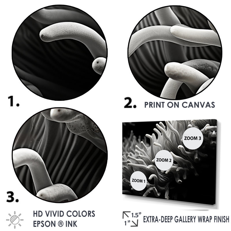 «Black and White Anemoner Color I», reproduction d'art sur toile, H 24 po x l 32 po, Cadre flottant noir