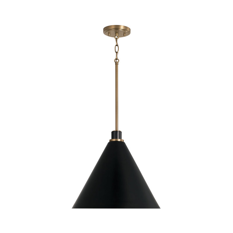 Bradley 1 - Light Cone Pendant