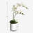 Silk Orchid Arrangement In Pot-2070217727