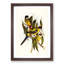 Brown's Parakeets by Elizabeth Gould - Picture Frame Art Print-55512987-55512986