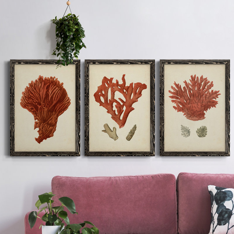 Antique Red Coral I - ensemble de 3 peintures sur toile encadrées, H 31,5 po x l 47 po x P 1,5 po, Toile avec cadre noir