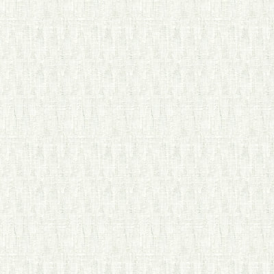 Basics Fabric