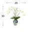 Orchid Arrangement In A Ceramic Vase