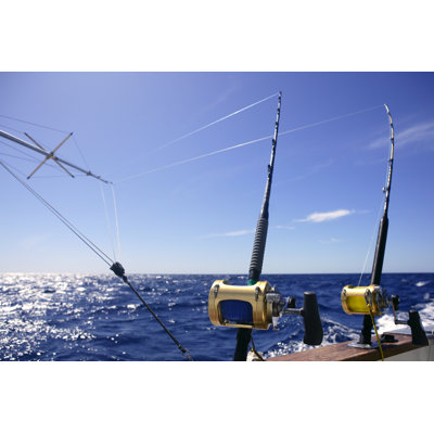 " Fishing In Saltwater "