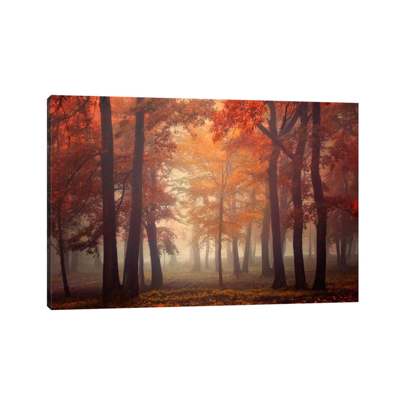 Feel by Ildiko Neer - Wrapped Canvas Print, 30.48cm H x 45.72cm W x 1.91cm D