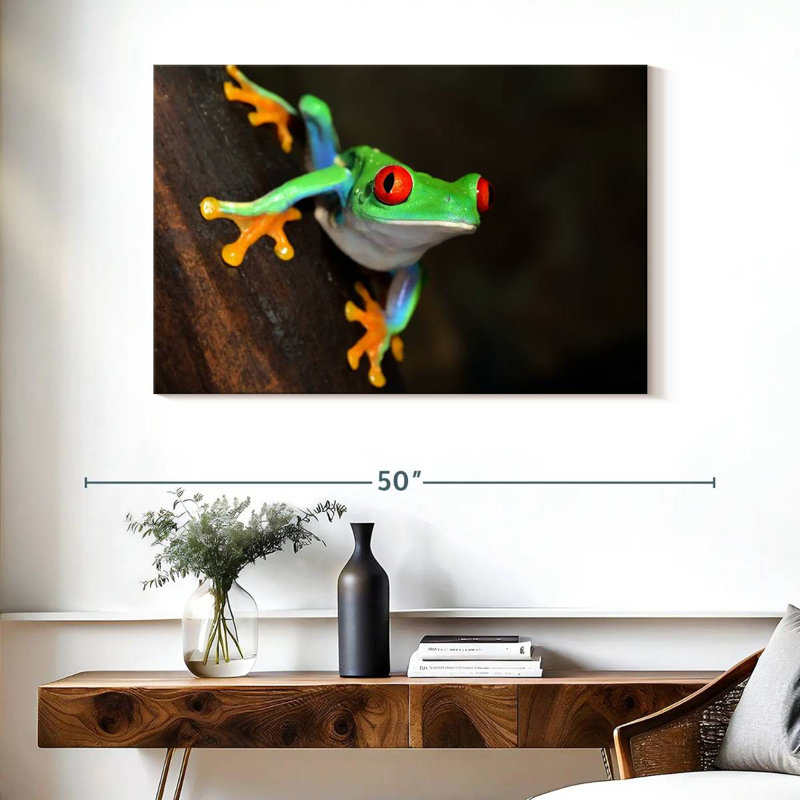 Brampt Tiny Red-Eyed Tree Frog, 26" H x 39" W