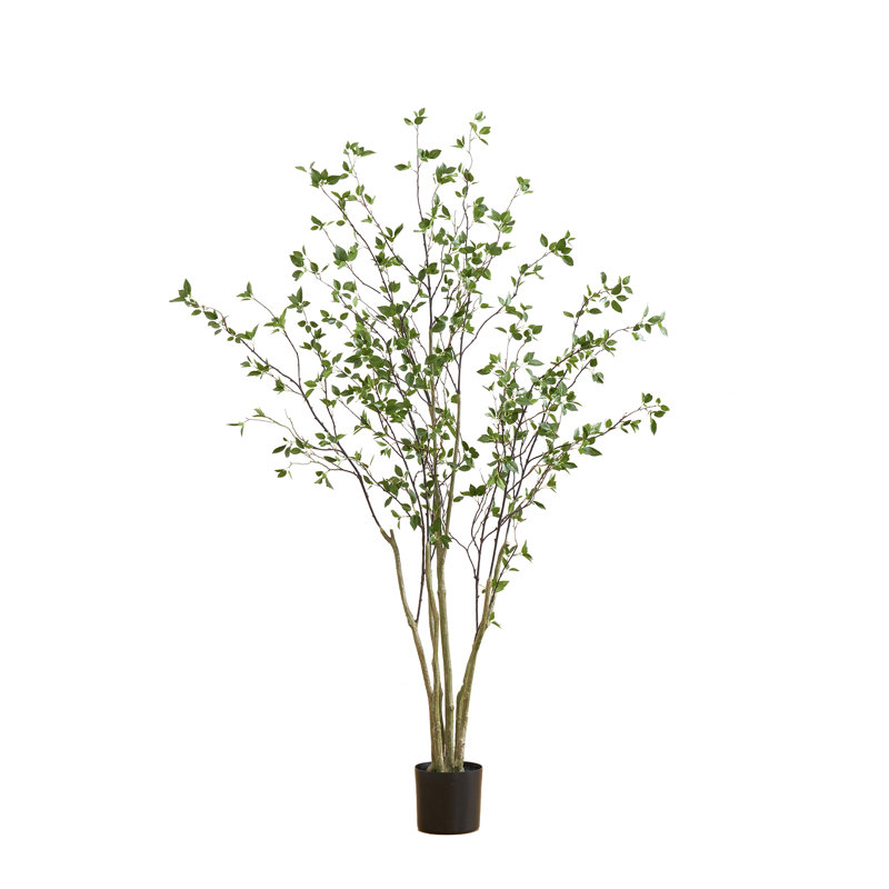 Anzavia 84'' Faux Citrus Tree in Pot