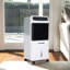 Garden Sanctuary 81cm Oscillating Pedestal / Standing Fan Fan with Remote Included