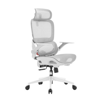  B100 Lite Ergonomic Office Chair | Adaptive Dynamic Lumbar Support, Extra Wide Headrest, Flip-Up Armrests, 90-135° Tilt Lock & Breathable Mesh Desk Chair for Office
