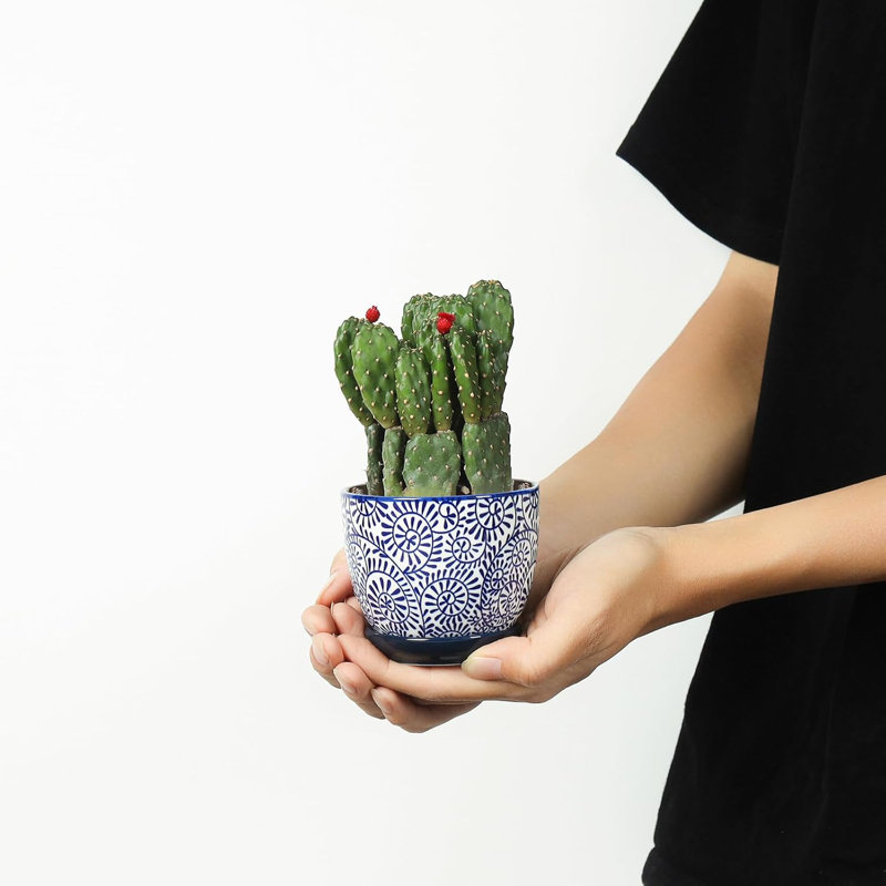 Small Flower Pots 3.5 Inch Plant Pots for Indoor Plants with Saucers