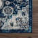 Douglass Oriental Indoor Rug